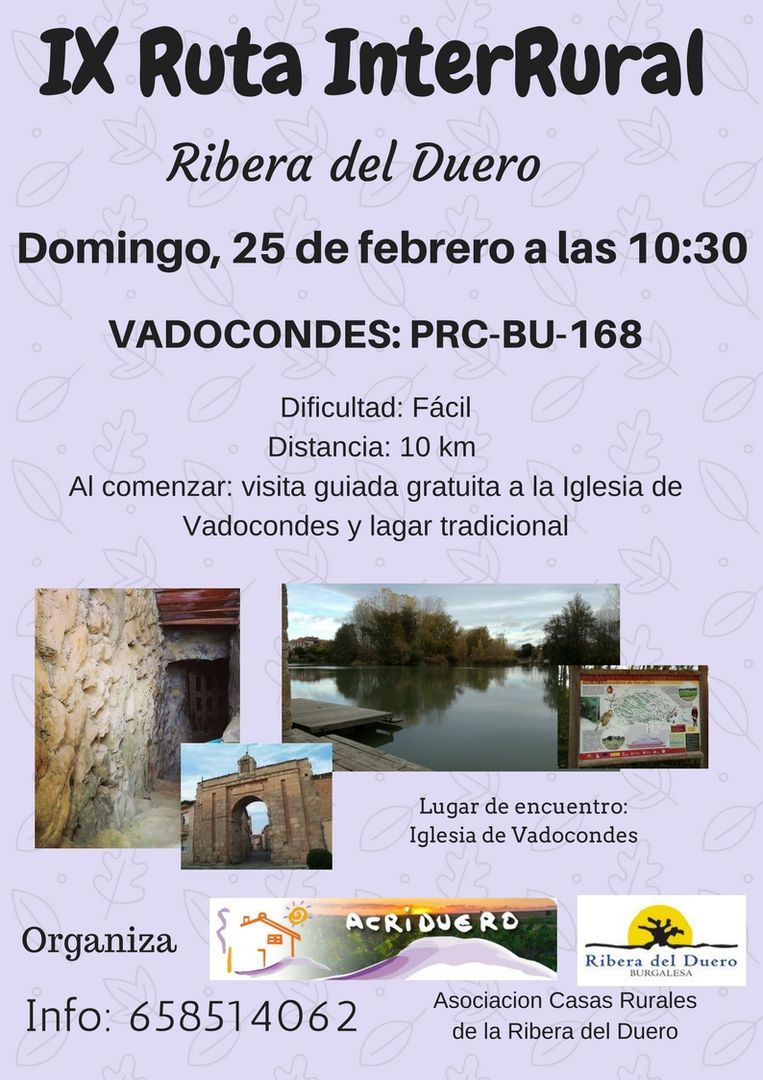 cartel ruta